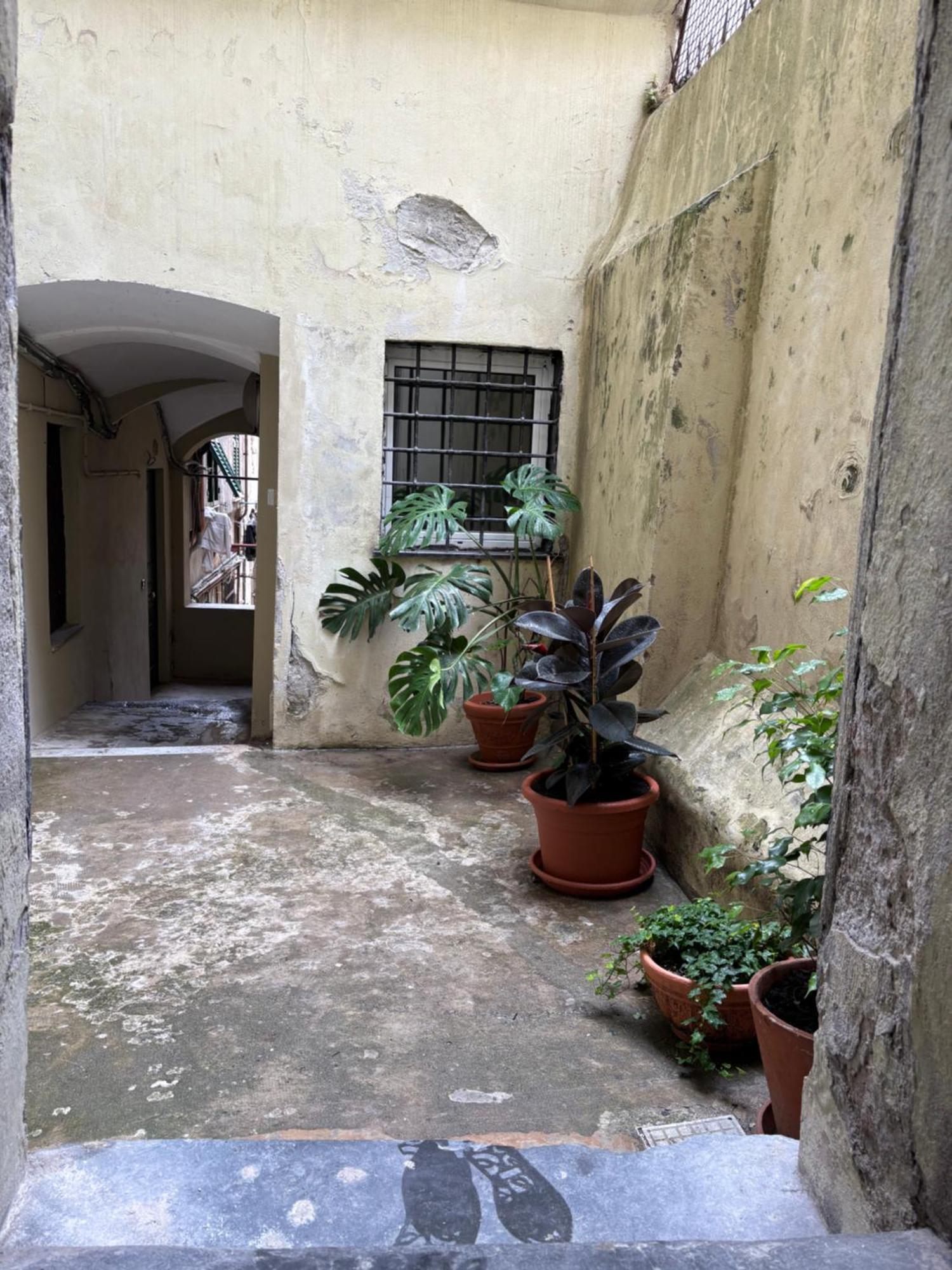 Cittadella 3 *